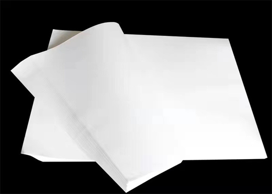Διπλή όξινη αντίσταση εγγράφου φίλτρων Hepa πιάτων επίδρασης σύνθετη H10